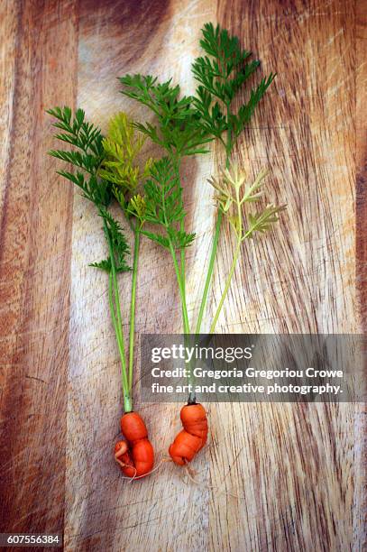 odd shaped carrots - gregoria gregoriou crowe fine art and creative photography stock pictures, royalty-free photos & images