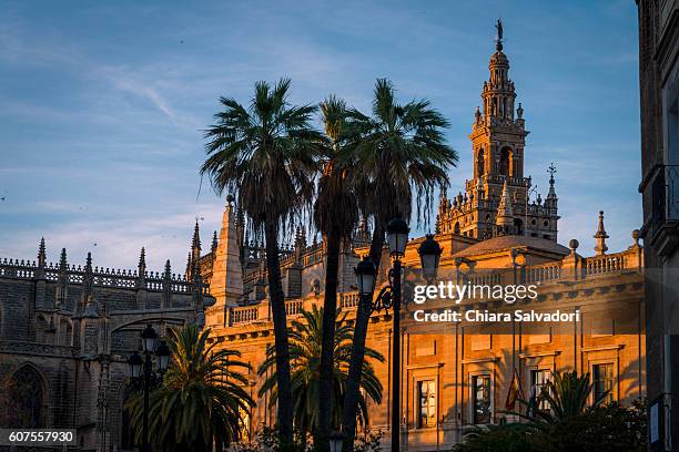 seville cathedral - seville stock pictures, royalty-free photos & images