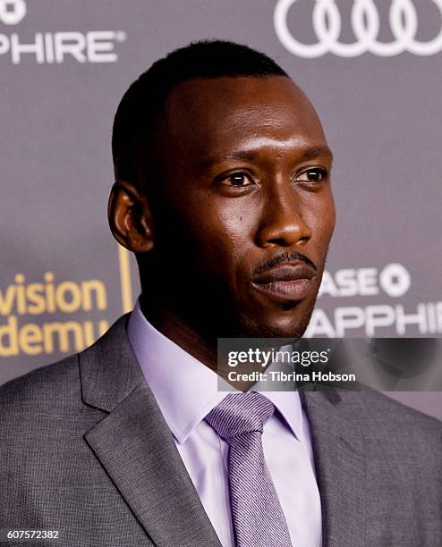 Mahershala Ali attends the Television Academy reception for Emmy Nominees at Pacific Design Center on September 16, 2016 in West Hollywood,...