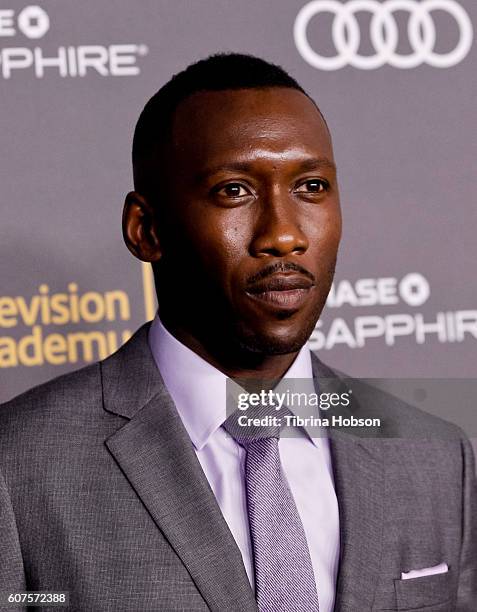 Mahershala Ali attends the Television Academy reception for Emmy Nominees at Pacific Design Center on September 16, 2016 in West Hollywood,...