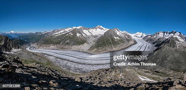 majestic aletsch glacier (valais / switzerland / europe) - aletsch glacier stock pictures, royalty-free photos & images