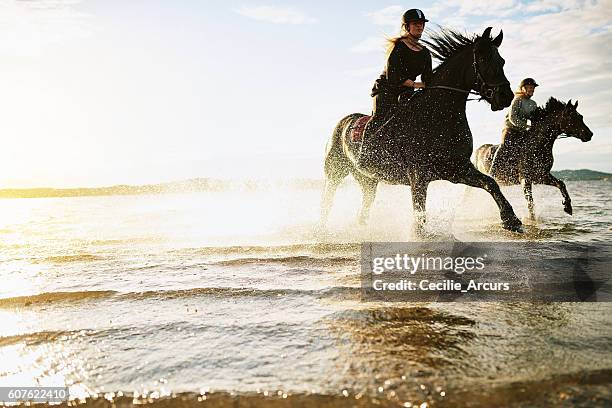 giddy-up! - horse running water stock pictures, royalty-free photos & images