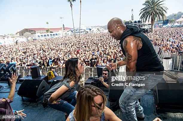 Pictures and Photos - Getty Images