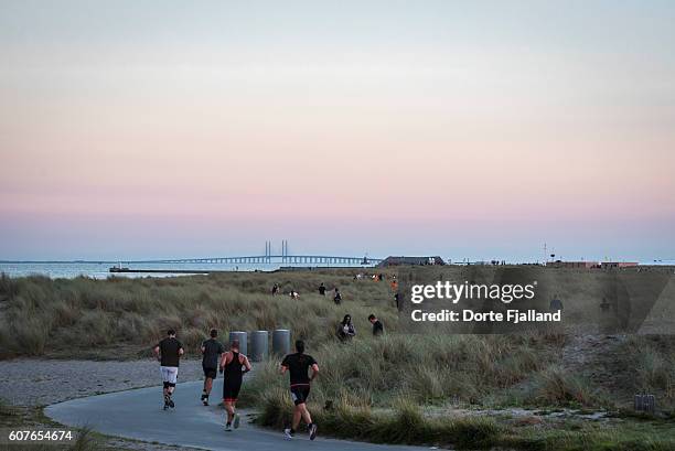 evening by the beach, amager strand - dorte fjalland fotografías e imágenes de stock