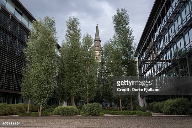 green trees between modern buildings - dorte fjalland fotografías e imágenes de stock