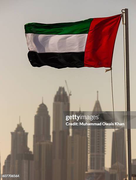 uae flag with dubai skyline - uae flag stock pictures, royalty-free photos & images