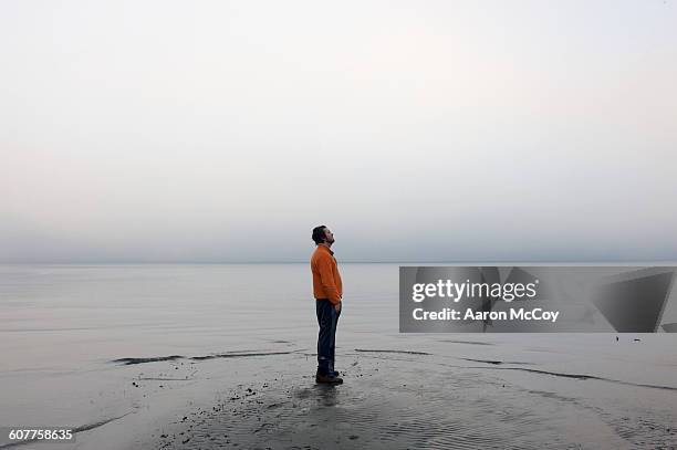 thinking on the sound - beach morning glory stock pictures, royalty-free photos & images