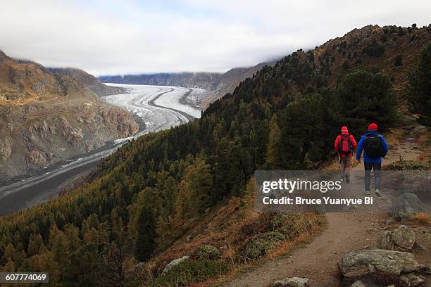 hikers and aletsch glacier - aletsch glacier stock pictures, royalty-free photos & images