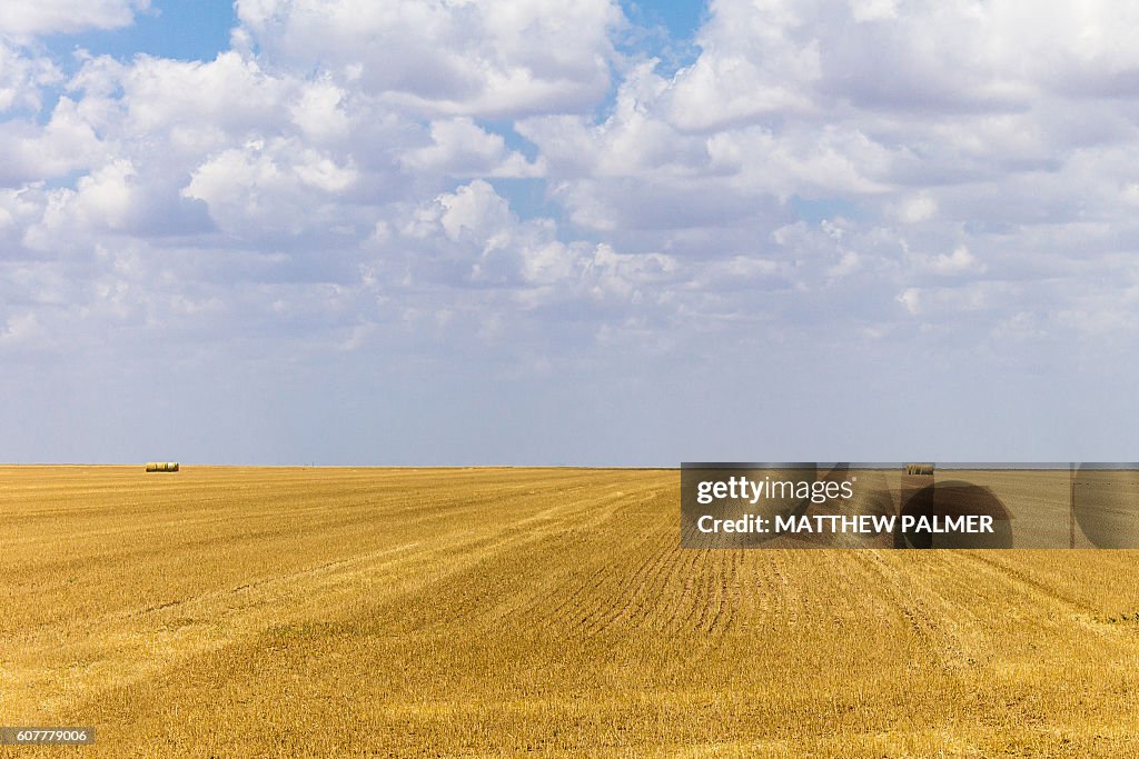 Texas Field