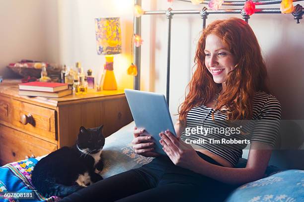 young woman with tablet and cat - cats on the bed stock pictures, royalty-free photos & images