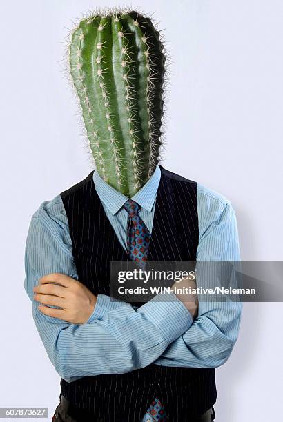 businessman with cactus head - cactus stock pictures, royalty-free photos & images