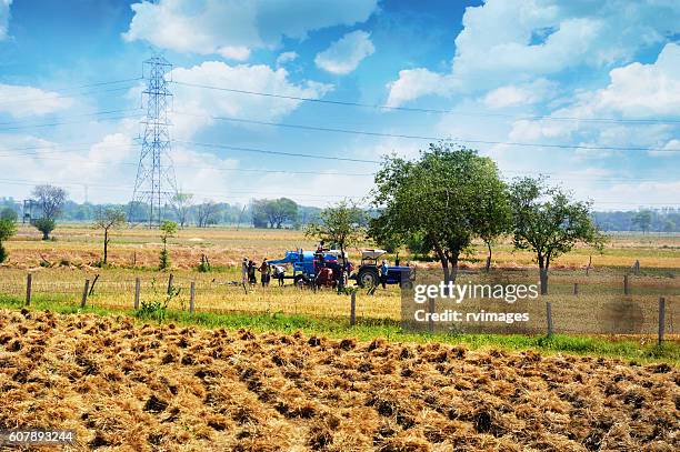 wheat harvesting with thresher - combine harvester stock pictures, royalty-free photos & images