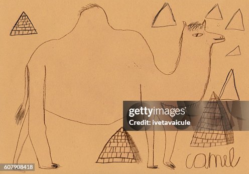 Camel between pyramids drawing Camel between pyramids drawing
