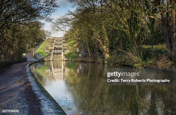 five rise locks, bingley - canal lock stock pictures, royalty-free photos & images