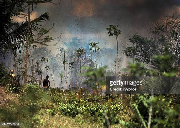 africa, east africa, tanzania, view of man watching as jungle burns, in so called controlled burn (year 2000) - kontrolliertes abbrennen stock-fotos und bilder