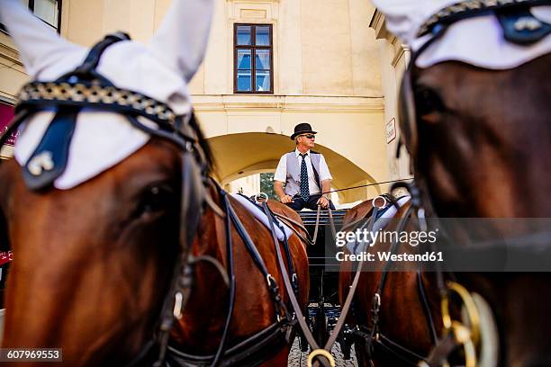 austria, vienna, coachman on his fiaker in the city - horse carriage stock-fotos und bilder