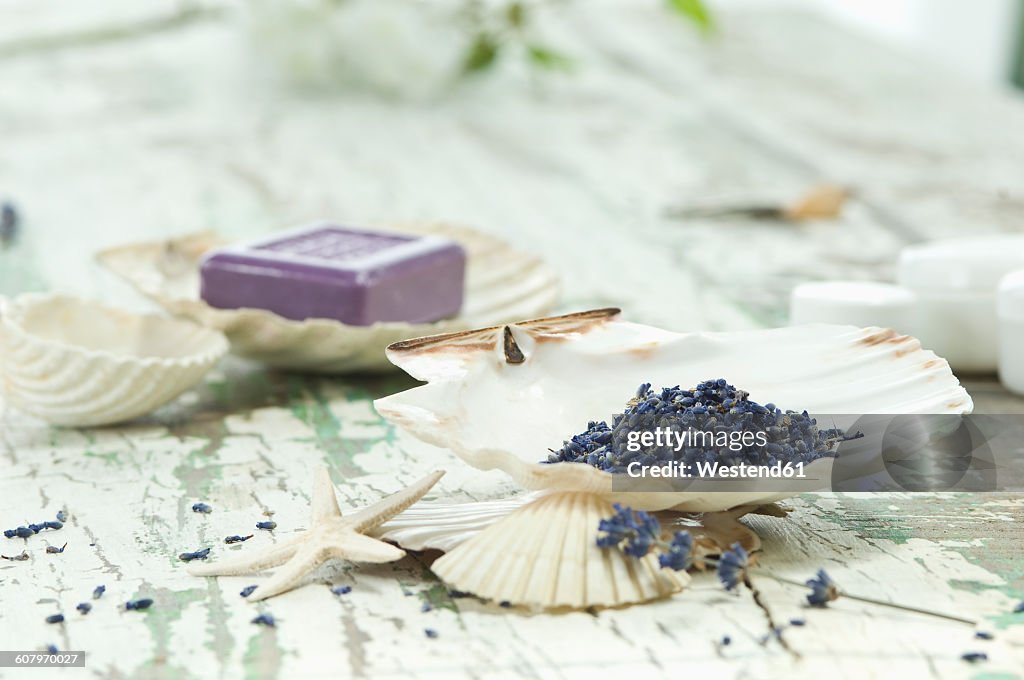 Lavender in sea shell and bar of soap