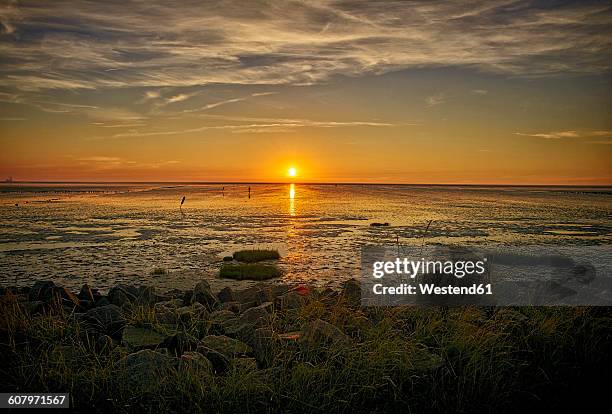 germany, dithmarschen, friedrichskoog-spitze, sunset at the north sea tidelands - friedrichskoog stock pictures, royalty-free photos & images
