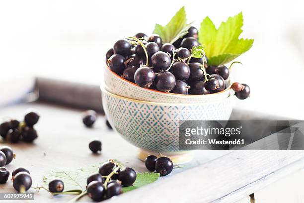 bowls of black currants with leaves on a tray - casis fotografías e imágenes de stock