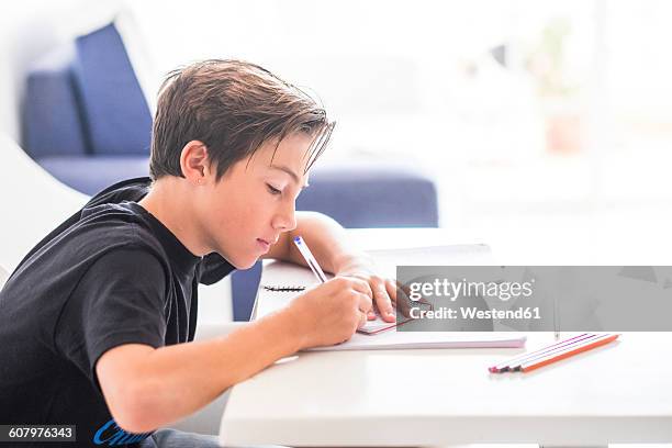 Pen Homework 12,146 Boy With Pen Stock Photos, High-Res Pictures, and Images - Getty ...