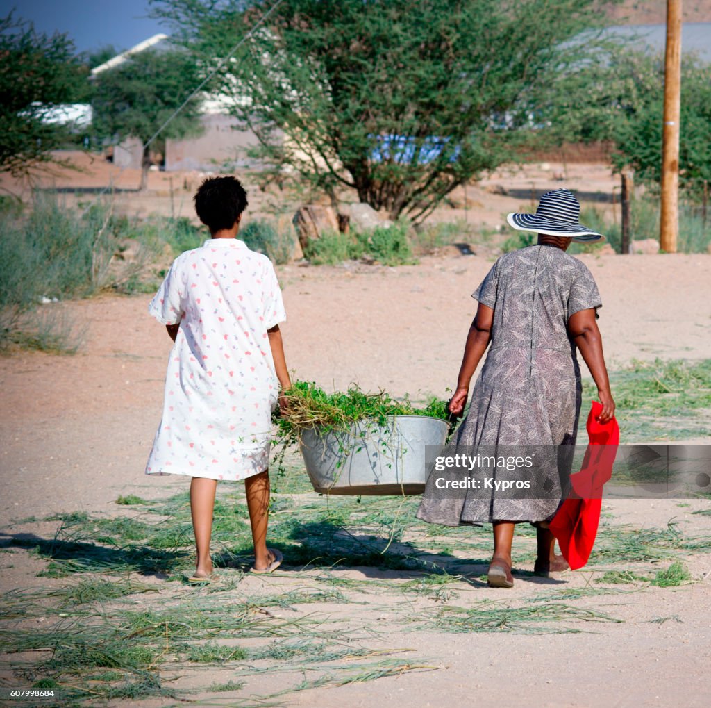 Africa, South Africa, Kalahari Desert Area, View Of Two Women Carrying Metal Bathtub Filled With Plants (Year 2009)