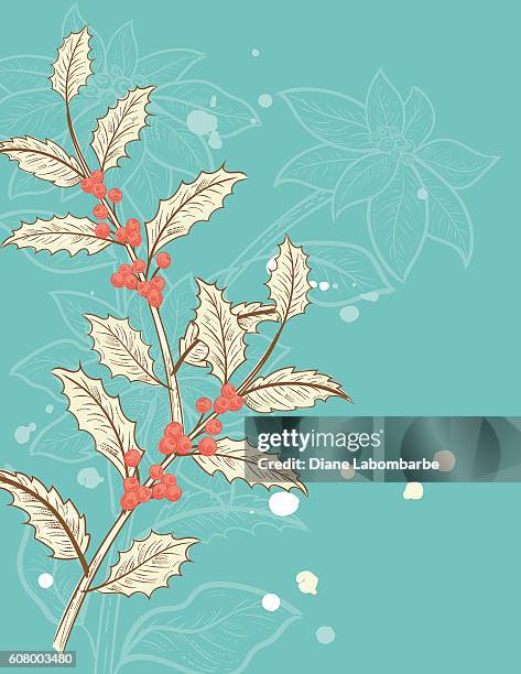botanical christmas plants background - winter botanical pattern stock illustrations