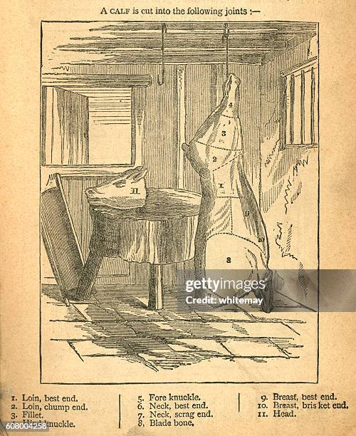 Jointing A Calf Victorian Diagram, Bildbanksbilder