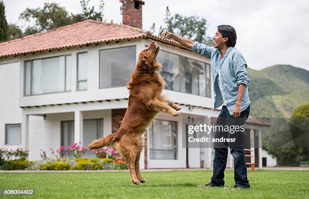 happy man training his dog - retriever jump stock pictures, royalty-free photos & images