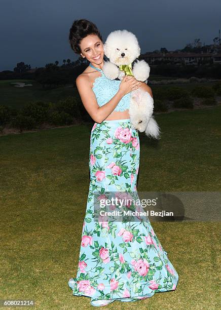 Nicole Cummings attends All About the Animals Homeless to Haute Gala at Monarch Beach Resort on September 18, 2016 in Dana Point, California.