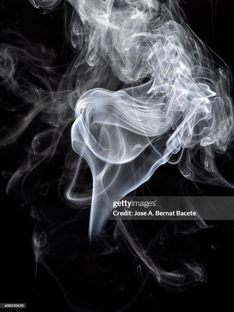Figures and forms of white smoke in movement on a black bottom