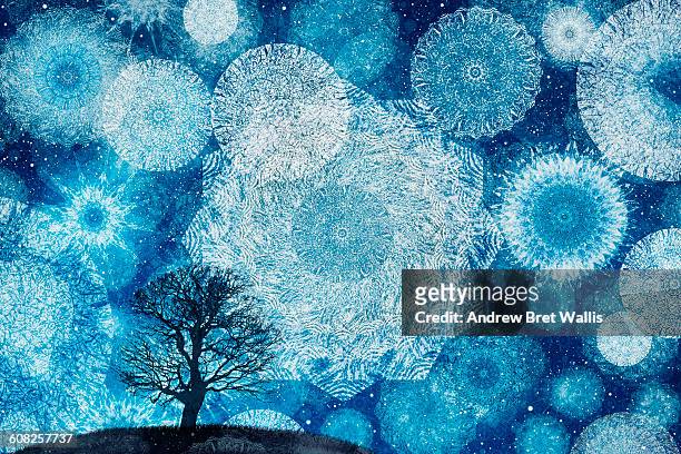 ilustrações, clipart, desenhos animados e ícones de silhouetted winter tree against a starlit sky - tree position
