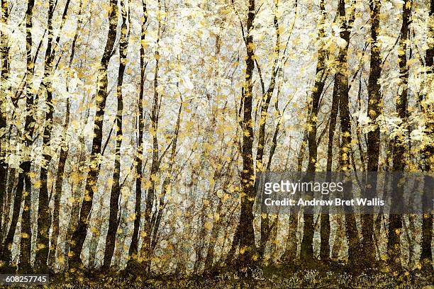 stockillustraties, clipart, cartoons en iconen met forest filed with golden autumn leaves - kale boom