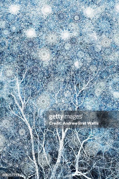 snow filled winter tree branches - kahler baum stock-grafiken, -clipart, -cartoons und -symbole