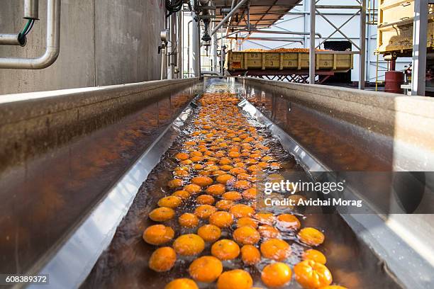 Oranges Processed 283 Food Processing Oranges Stock Photos, High-Res Pictures, and Images ...