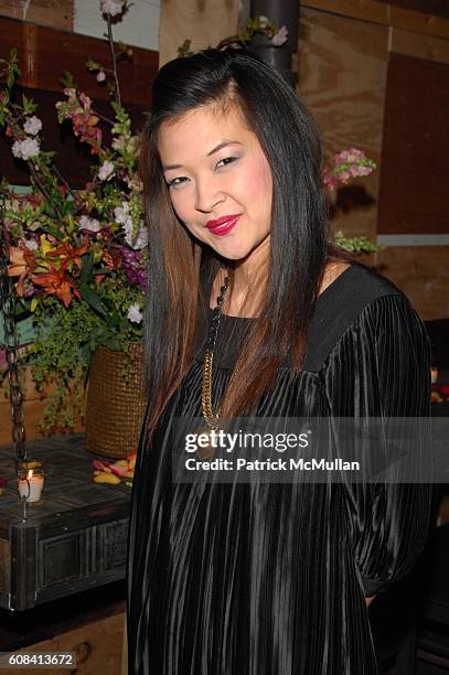 Suchin Pak attends SUSAN SARANDON hosts THE NEST FOUNDATION at Emergency Arts N.Y.C. On March 28, 2007 in New York City.