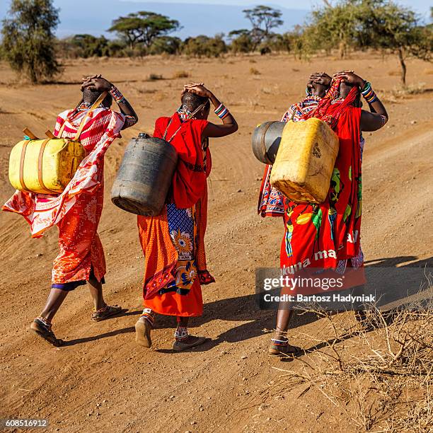 african women from maasai tribe carrying water, kenya, east africa - east africa stock pictures, royalty-free photos & images