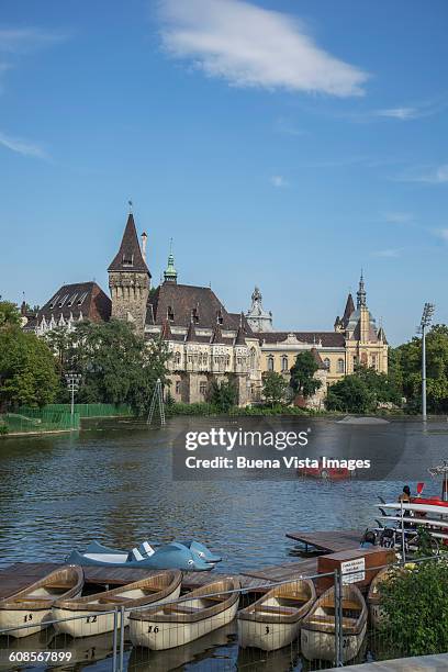 budapest, the vajdahunyad castle - vajdahunyad castle stock pictures, royalty-free photos & images