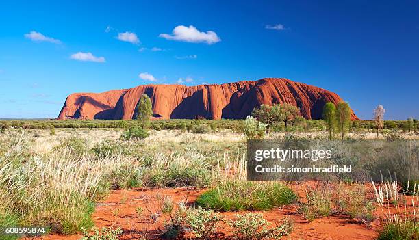 uluru scenic - uluru rock stock pictures, royalty-free photos & images