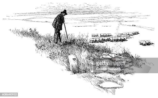 sheep herder with his sheep - herder stock illustrations