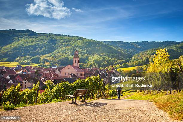 unusual view of village of riquewihr, alsace, france - alsace stockfoto's en -beelden