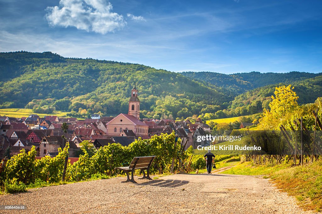 Unusual view of village of Riquewihr, Alsace, France