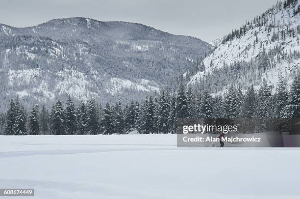 cross-country skiing north cascades - methow valley stock pictures, royalty-free photos & images