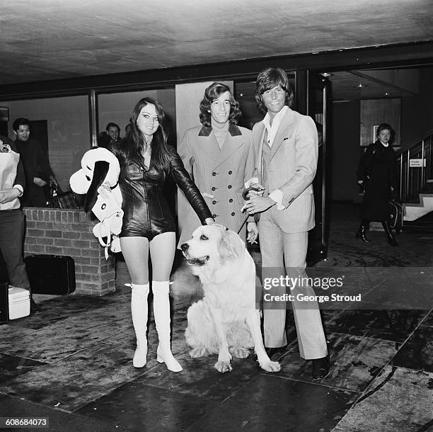 Singers Barry and Robin Gibb of the Bee Gees return from the US with Barry's wife, former Miss Edinburgh Linda Gray, London Airport, UK, 8th March...