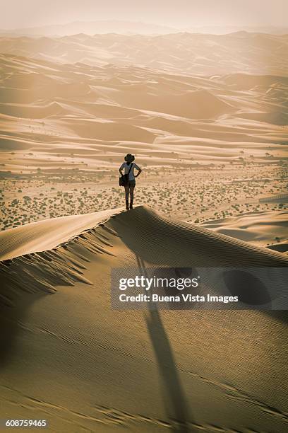 woman on a sand dune at sunset - hot arabian women fotografías e imágenes de stock