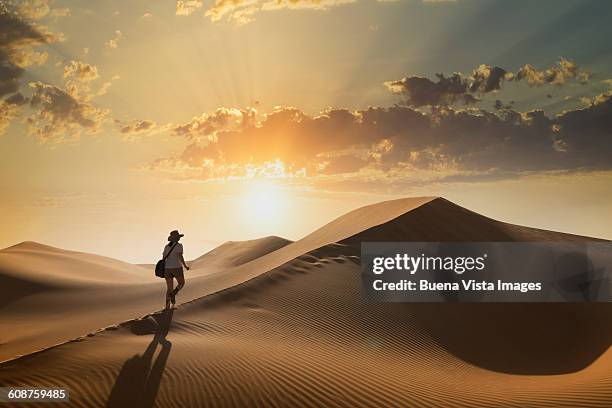 woman on a sand dune at sunset - hot arabic women fotografías e imágenes de stock