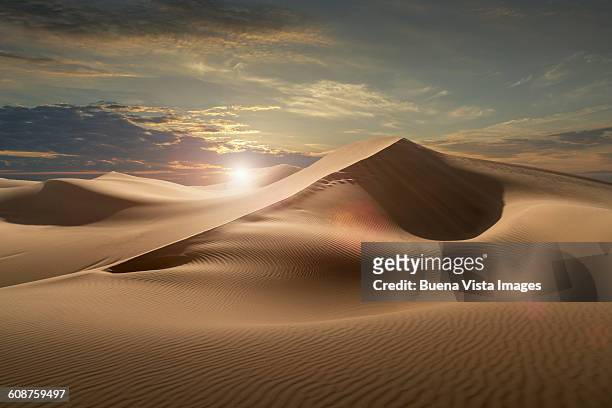 sand dunes in a desert at sunset - sand dune stock pictures, royalty-free photos & images