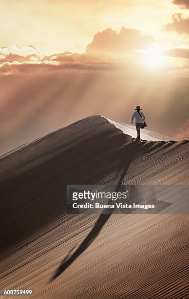 woman on a sand dune at sunset - hot arabian women fotografías e imágenes de stock
