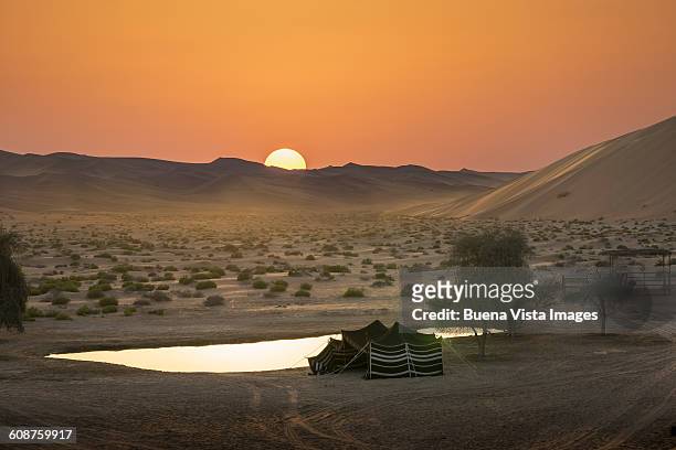 sunset over a bedouin's tent in a desert - desert oasis stock pictures, royalty-free photos & images