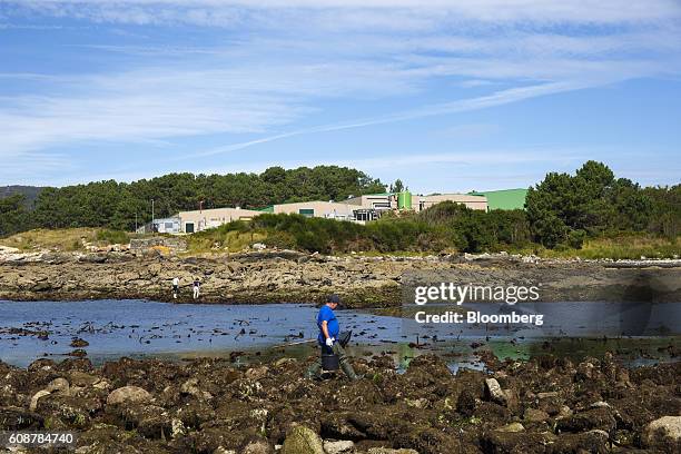 The Galician Marine Aquaculture S.L. Abalone mollusc breeding farm sits on the coast beside the Muros-Noia estuary in Muros, Spain, on Monday, Sept....