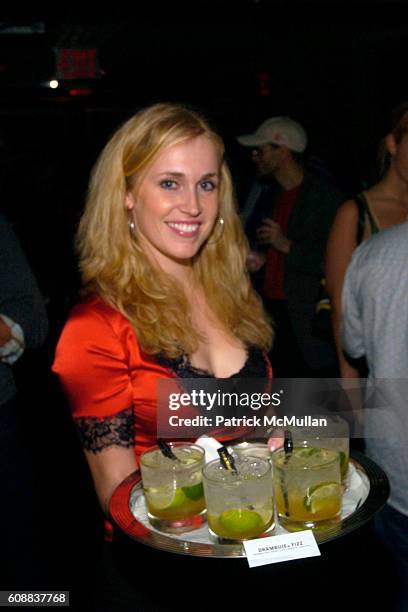 Drambuie Girl attends Drambuie Den Event with Special Guest Heather Vandeven at Level V on October 22, 2007 in New York.